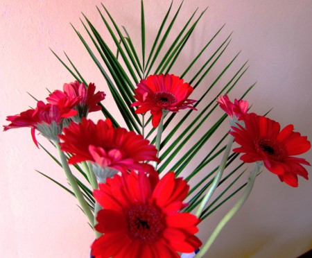 La Passione del Primo Amore